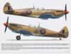 Kagero Top Colors 18 Spitfire VIII Book Review by Rodger Kelly: Image