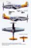 P-51D Mustang Ove the Pacific Part Two Review by Rodger Kelly: Image