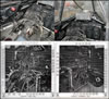 Brengun Item No. BRL72048  Typhoon Mk.Ib (Brengun) Photo-Etched Set Review by Mark Davies: Image