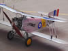 Silver Wings 1/32 Fairey Flycatcher by Roger Hardy: Image
