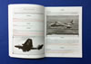 Philedition Allied Wings No.19 The English Electric Canberra B(I).8 Book Review by Mark Davies: Image