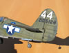 Eduard 1/32 P-40N Warhawk by Tolga Ulgur: Image