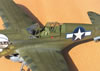 Eduard 1/32 P-40N Warhawk by Tolga Ulgur: Image