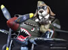 Tiger Model Kit No. TT002 - Curtiss P-40 Warhawk with Pilot by James M: Image