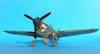 Hasegawa 1/32 P-40N Warhawk by Brett Green: Image