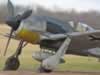Accurate Miniatures 1/48 scale Focke-Wulf Fw 190 A-8 by Floyd S. Werner Jr.: Image