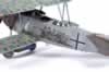 Roden 1/72 Fokker D.VII by Brad Cancian: Image