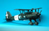 Classic Airframes 1/48 scale Fiat CR.42 CN by Andrew Garcia: Image