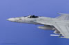 Hasegawa 1/72 scale F/A-18E by Jorge Rivas Krause: Image