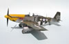Tamiya 1/32 scale P-51D Mustang by Tolga Ulgur: Image