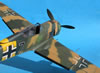 Hasegawa 1/32 Fw 190 A-5 by Tolga Ulgur: Image