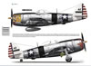 Kagero Publishing P-47D Thunderbolt with the USAAF in the MTO, Asia & Pacific Review by Brad Fallen : Image