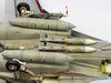 Eduard 1/48 "Danger Zone" F-14A Tomcat by Steve Pritchard: Image