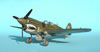 Hasegawa 1/48 P-40N by Tolga Ulgar: Image