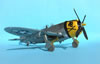 Hasegawa 1/32 P-47D-30 by Tolga Ulgur: Image