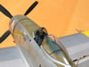 Trumpeter 1/32 P-47N Thunderbolt by Tolga Ulgur: Image