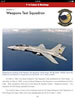U.S. Navy F-14 Tomcats- Part 2: Pacific Coast Squadrons - Digital Volume 6 Review by Floyd S. Werner: Image