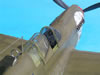 Hasegawa 1/32 P-40N-5 Warhawk by Tolga Ulgur: Image