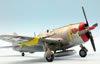 Tamiya 1/48 P-47D Thunderbolt Bubbletop by Roland Sachsenhofer: Image