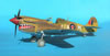 Hasegawa 1/32 P-40M Kittyhwk Mk.III by Tolga Ulgur: Image