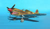 Hasegawa 1/32 P-40M Kittyhwk Mk.III by Tolga Ulgur: Image