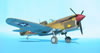 Hasegawa + Grey Matter 1/32 P-40L Warhawk by Tolga Ulgur: Image