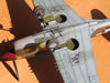 Hasegawa + Grey Matter 1/32 P-40L Warhawk by Tolga Ulgur: Image