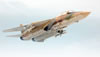 Italeri 1/72 F-1A Tomcat by Roland Sachsenhofer: Image