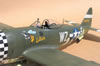Hasegawa 1/32 P-47D-28 "Eileen" by Tolga Ulgur: Image