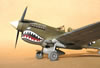 Hasegawa 1/32 P-40N by Tolga Ulgur: Image