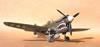 Hasegawa 1/32 P-40N by Tolga Ulgur: Image