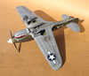 Hasegawa 1/32 P-40N by Tolga Ulgur: Image