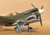 Hasegawa 1/32 P-40N by Tolga Ulgur: Image