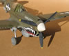 Hasegawa 1/32 P-40N by Tolga Ulgur: Image