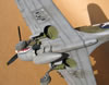 Hasegawa 1/32 P-40N by Tolga Ulgur: Image