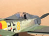 Hasegawa 1/32 Fw 190 A-8 by Tolga Ulgur: Image