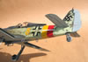 Hasegawa 1/32 Fw 190 A-8 by Tolga Ulgur: Image