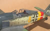 Hasegawa 1/32 Fw 190 A-8 by Tolga Ulgur: Image