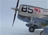 Academy 1/48 scale P-47D Thunderbolt by Tadeu Pinto Mendes: Image
