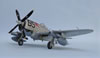 Academy 1/48 scale P-47D Thunderbolt by Tadeu Pinto Mendes: Image