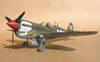 Eduard 1/32 P-40N by Tolga Ulgur: Image