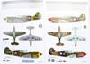 Eduard 1/48 P-40E Review by Brett Green: Image