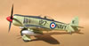 DBMK 1/32 Sea Fury by Tolgar Ulgur: Image