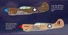 Eduard 1/48 P-40K Royal Class Review by Brett Green: Image